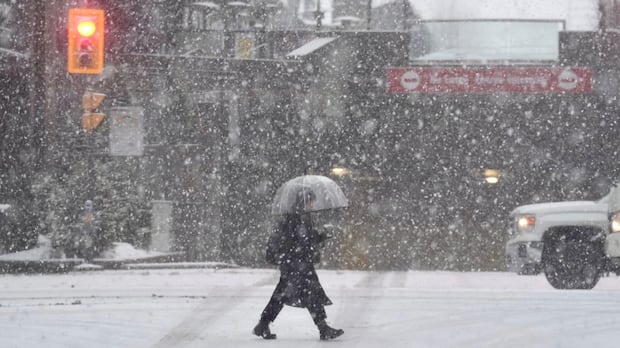 Toronto under special weather statement with 5 to 8 cm of snow in store Friday