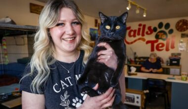 Feline fortunes: Turning ‘bad luck’ into forever homes for Alberta’s black cats