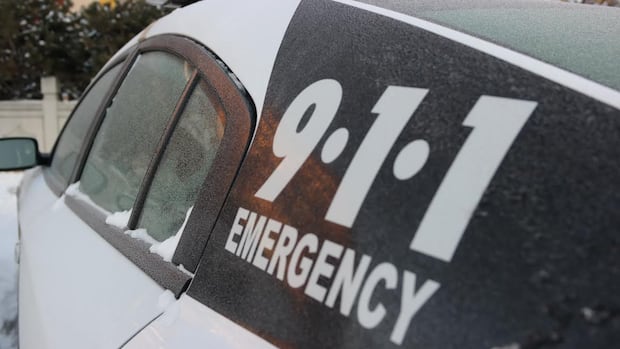 Winnipeg teen accused of stealing 16 vehicles, faces 68 charges