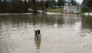 Flooding causes trouble for riverside town in Bruce County