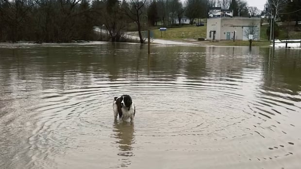 Flooding causes trouble for riverside town in Bruce County