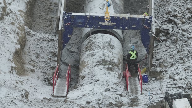 Province names former Alberta Energy Regulator chair to head its own review of Calgary's water system