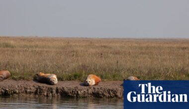 We must protect our natural habitats before they disappear | Environment