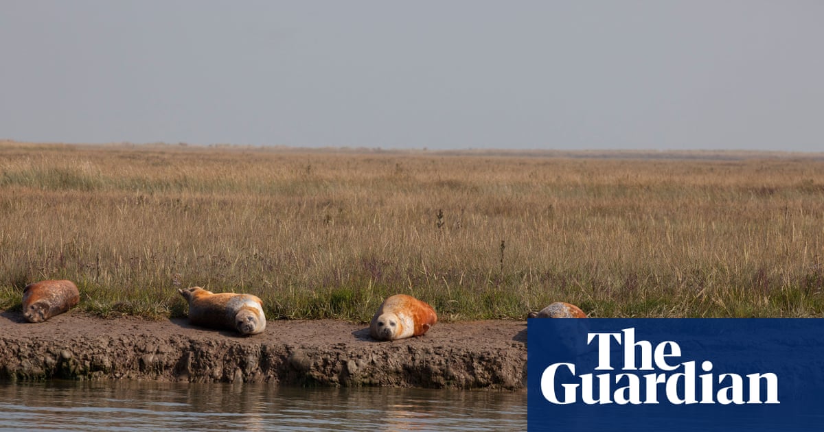 We must protect our natural habitats before they disappear | Environment