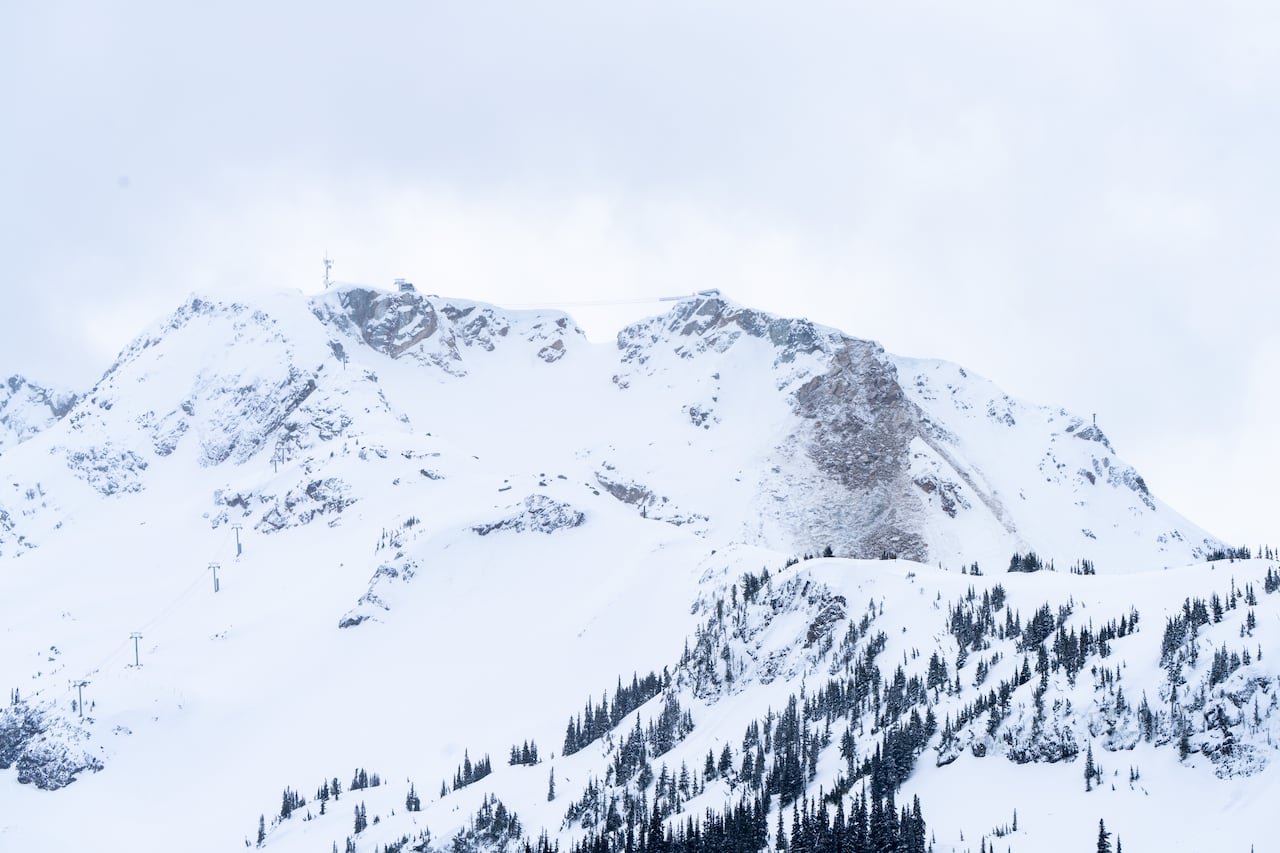 A snowy mountaintop, with cables linking two peaks, is seen with a grayed out area to the right, and dark green trees below. 