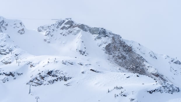What caused the rockslide at Whistler Peak?
