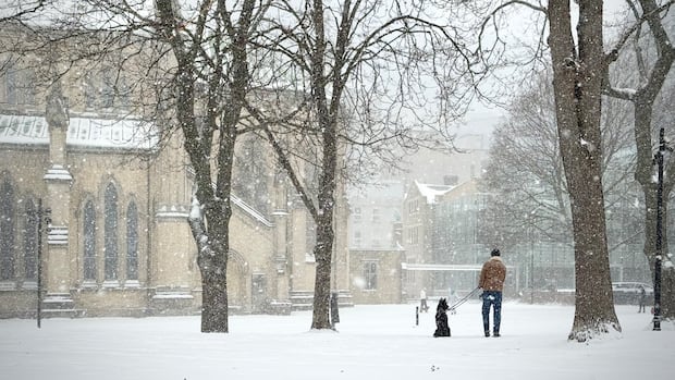 Special weather statement for snow, freezing rain issued for GTA: Environment Canada