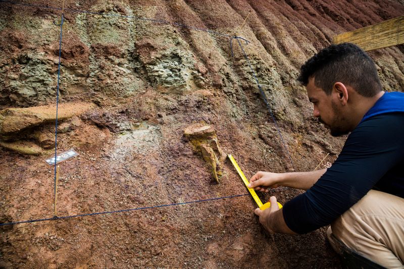Dinosaur fossils in Brazil reveal new giant species