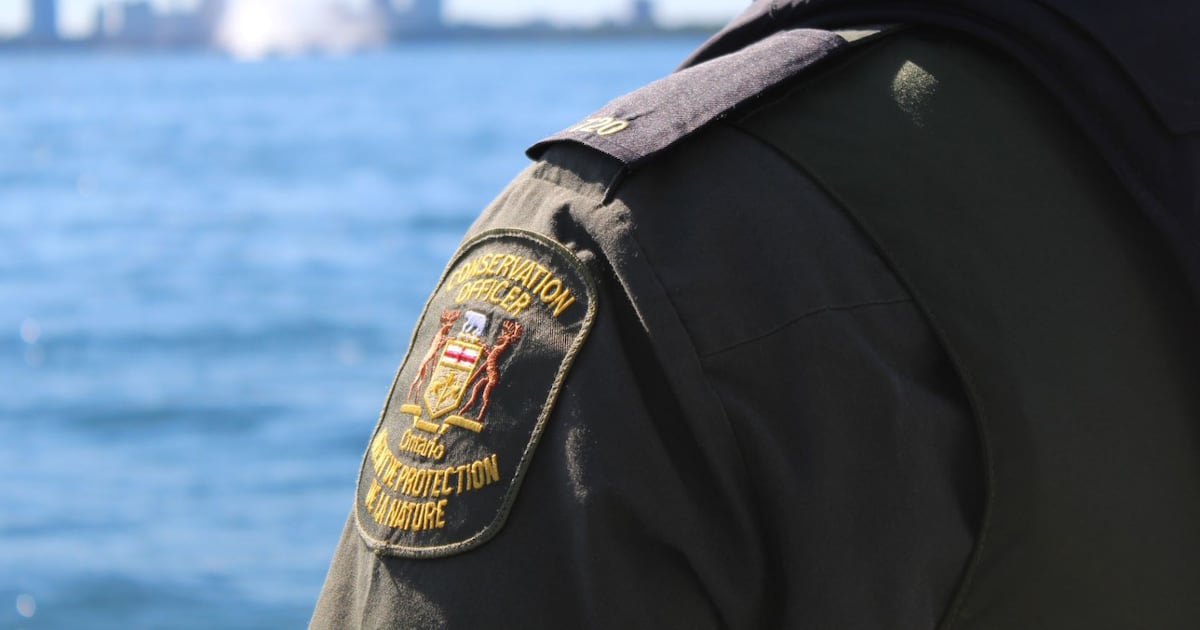 $5K fine, fishing ban for Algonquin Park angler found with 73 fish