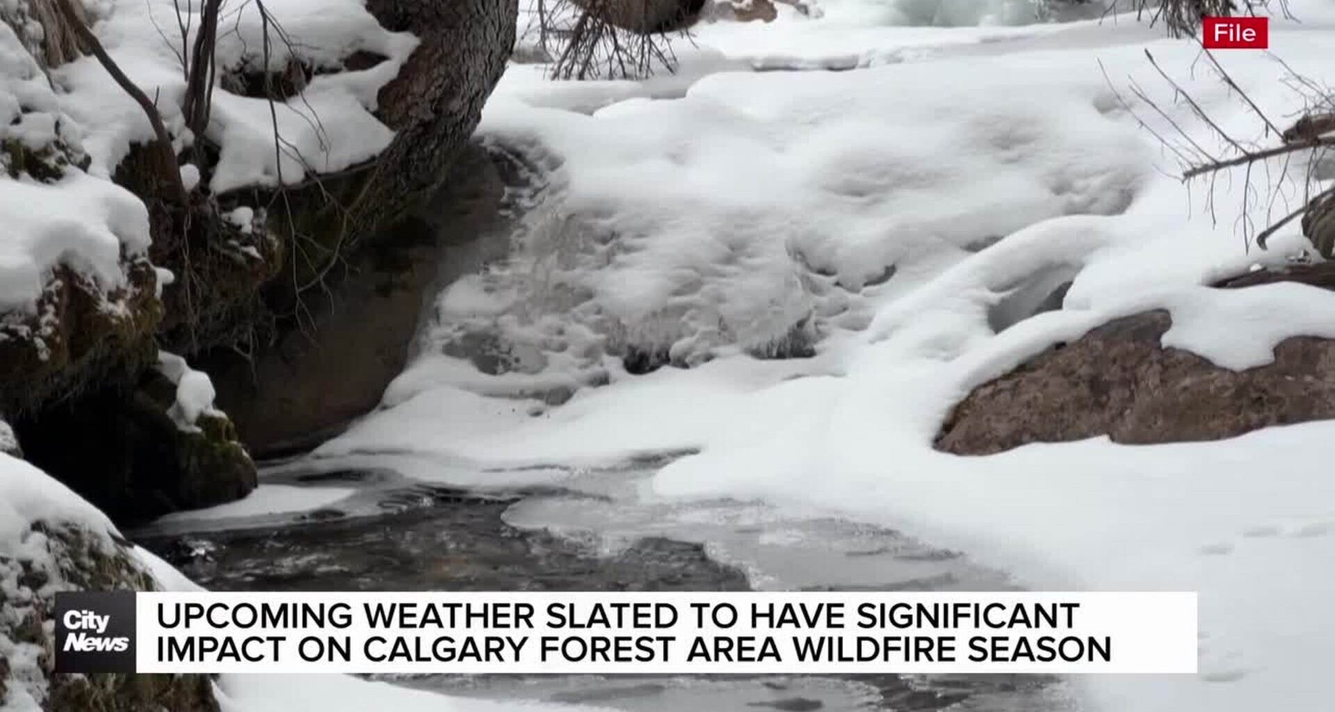 Upcoming weather slated to have significant impact on wildfire season in Calgary Forest Area