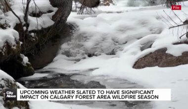 Upcoming weather slated to have significant impact on wildfire season in Calgary Forest Area