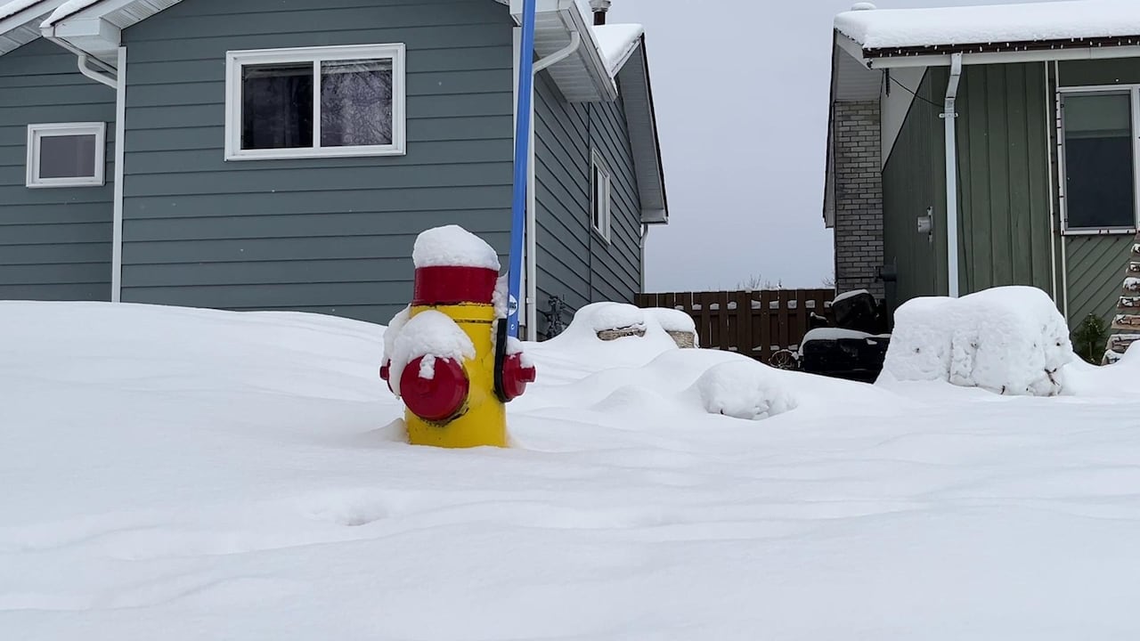 Two houses' front yards and a fire hydrant is seen with inches of snow on them.