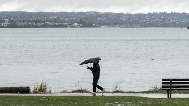 'From OK to bad really quickly': Caution urged as rain, snow and wind warnings blanket B.C.