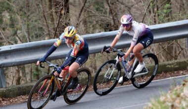 Write off SD Worx-Protime at your peril