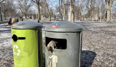 Trash cans are here to stay in Montreal's La Fontaine Park as city nixes project