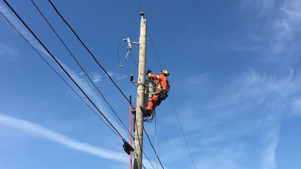 Windy, stormy weather knocks out power for hundreds of thousands in Quebec