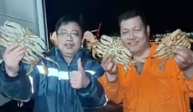 DFO investigating video of sailors bragging about giant crab catch near Vancouver