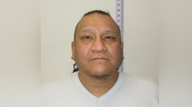 Convicted sex offender expected to live in Winnipeg after release: police