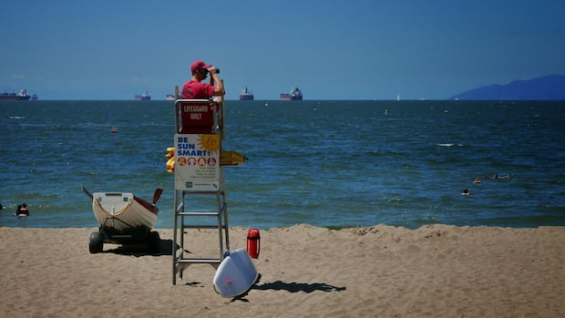 Vancouver Park Board cuts lifeguard staffing at busy beaches, commissioners blame 'austerity budget'