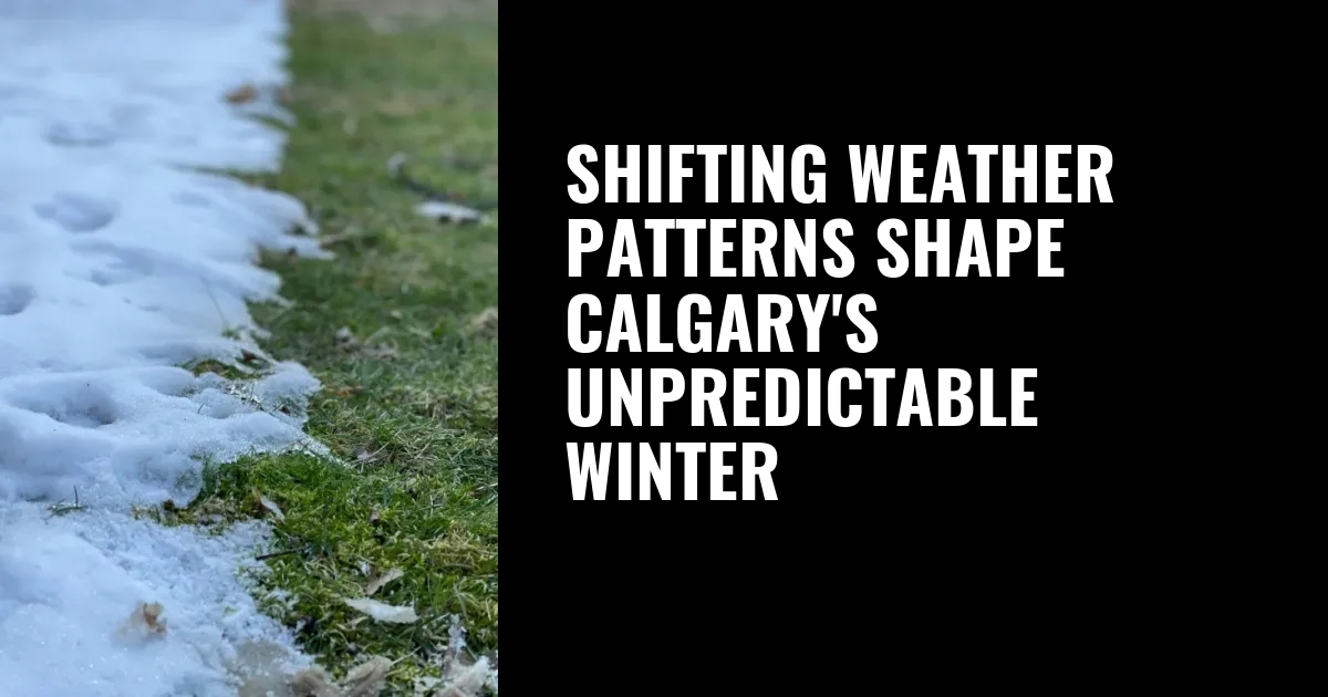 Shifting weather patterns shape Calgary’s unpredictable winter