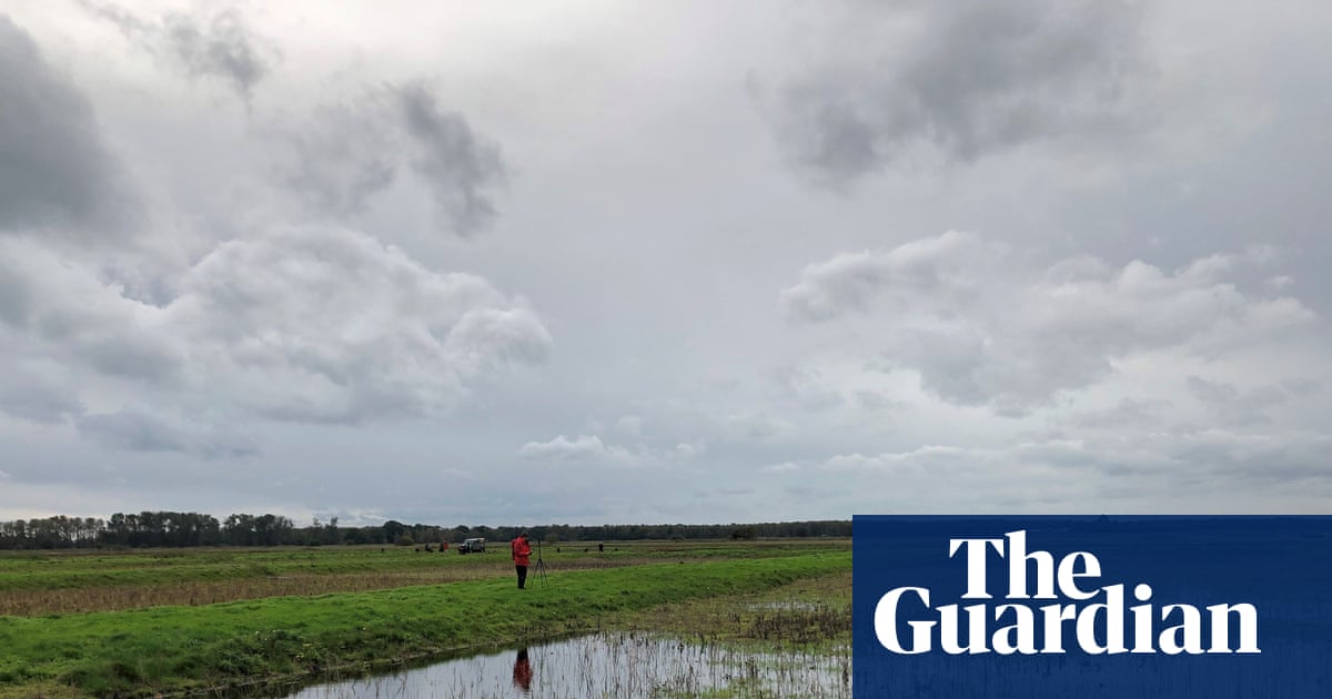 England must destine 7% of land to nature and renewables to hit green targets, data shows | Conservation