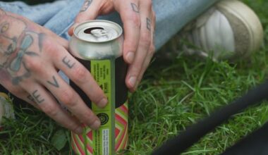 Province's BYOB plan draws mixed reaction from festivalgoers, organizers