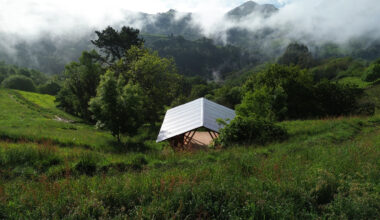 Taller Agropoetico - Foresta Collective / Atelier Poem