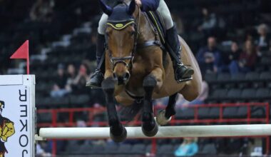 Measles risk requires responsible response – Brandon Sun