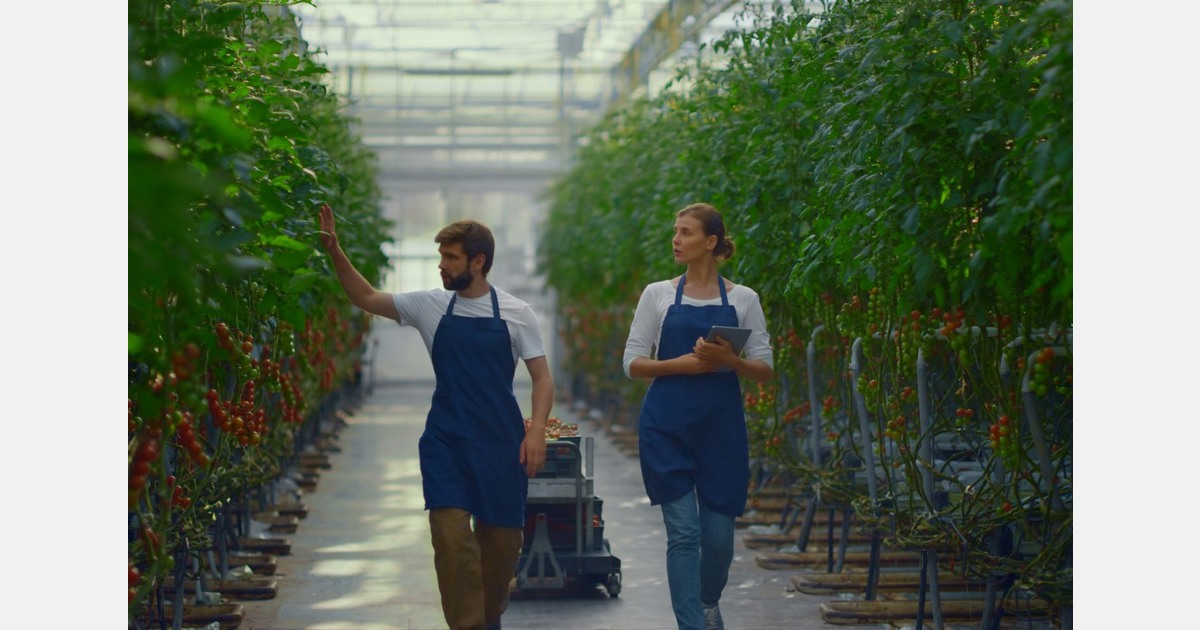 Surrey council endorses 2026 agritech strategy