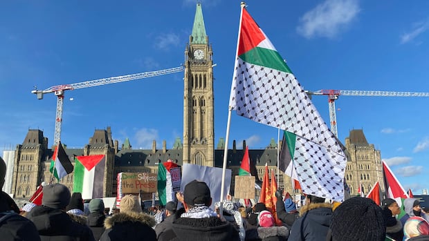 Ottawa police blame $6.5M of budget deficit on cost of policing Israel-Palestinian protests