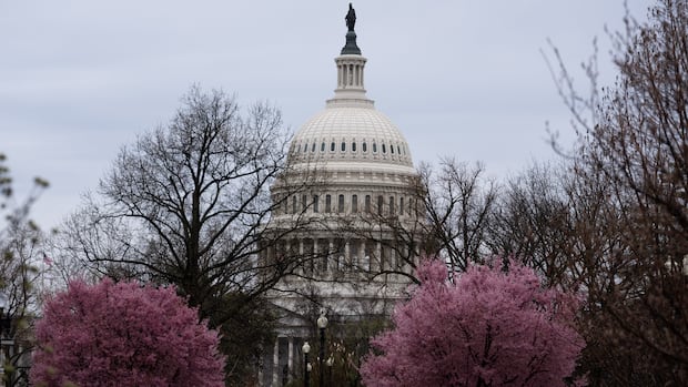 U.S. congressman targets Canada's 'Netflix tax' with new bill