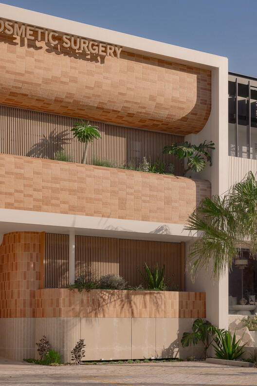 Brisbane Plastic & Cosmetic Surgery / Studio Collective - Image 5 of 24