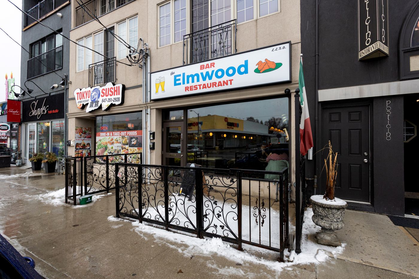 elmwood bar toronto