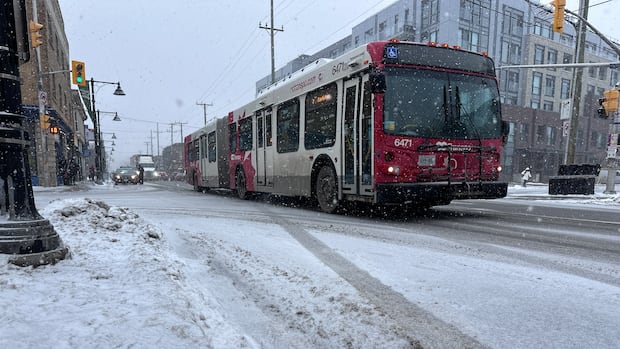 City eyes 2027 launch for bus-only lanes in the Glebe