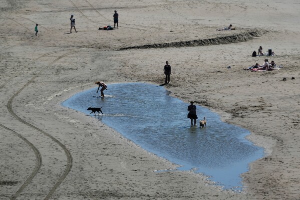 People and dogs walk in a large puddle at Ocean Beach in San Francisco, Tuesday, March 17, 2026. (AP Photo/Jeff Chiu)