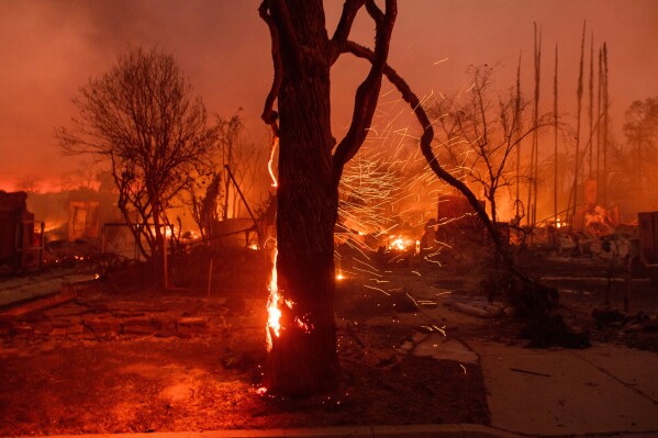 Embers are blown off a burning tree as the Eaton Fire burns in Altadena, Calif., Jan. 8, 2025. (AP Photo/Nic Coury, File)