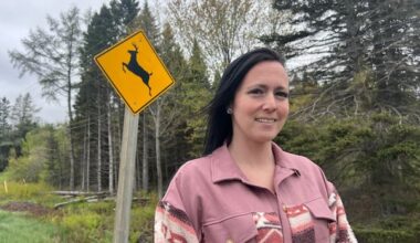 Commission warns N.B. residents against using Toronto insurance-related company