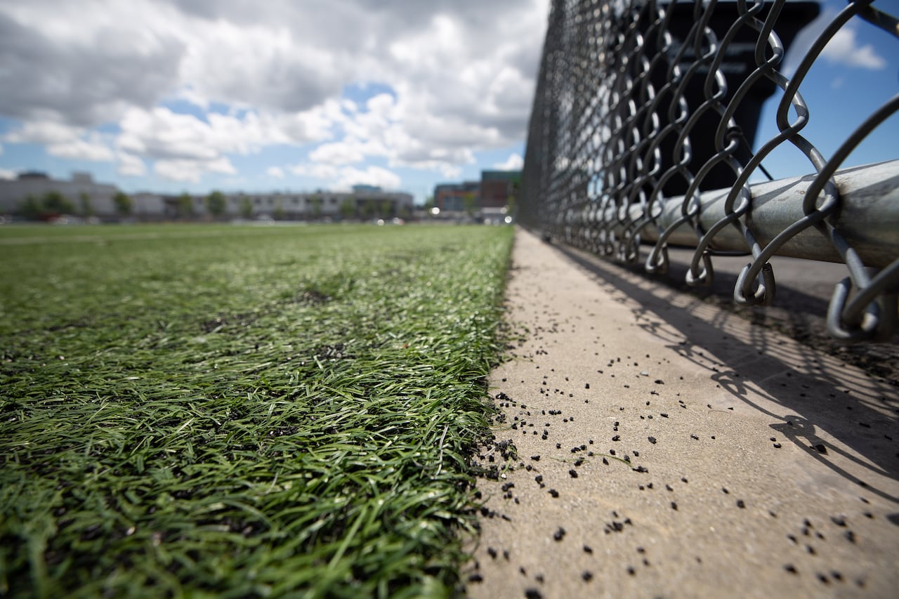 Crumb rubber infill dotting the edge of a sports field. 