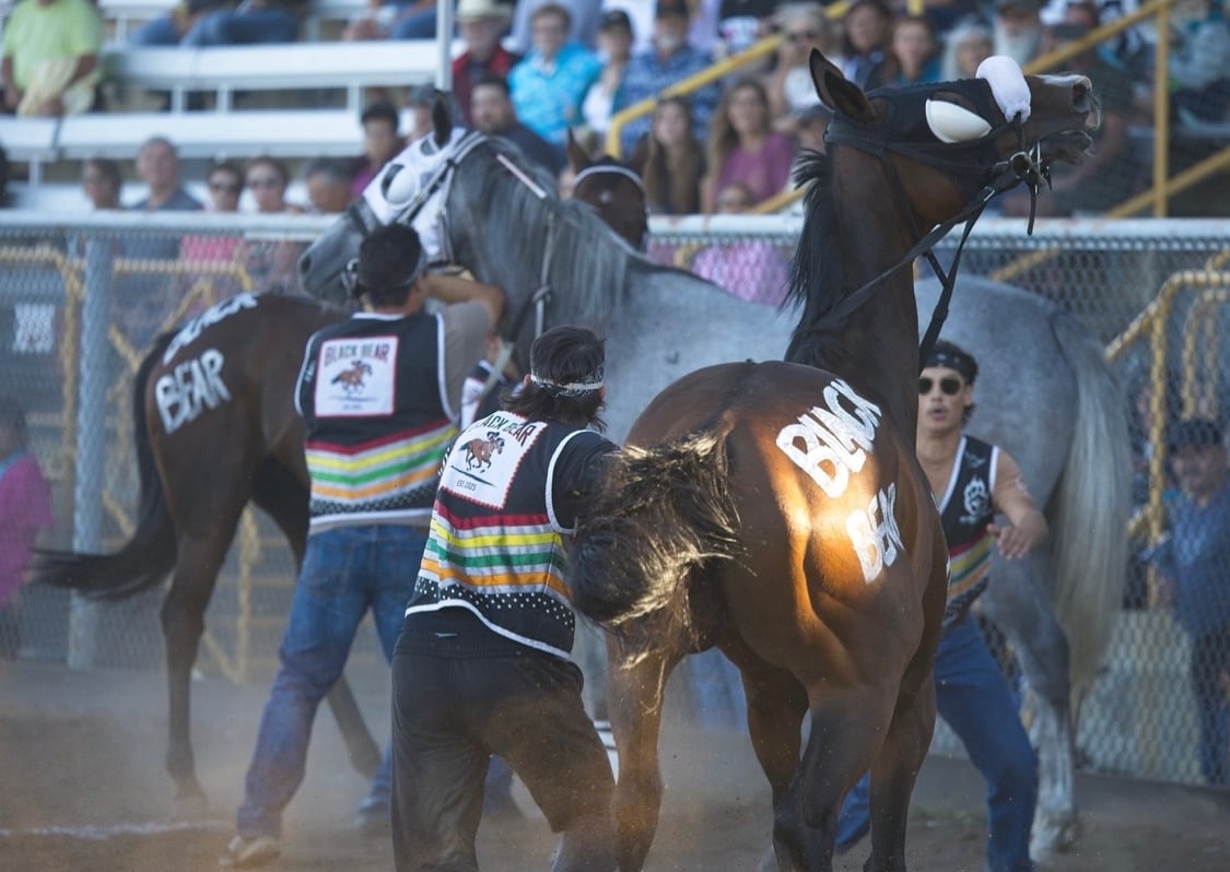 Three men in vests decorated with coloured ribbons catch and lead three horses with Black Bear painted on their flanks inside a rodeo ring.