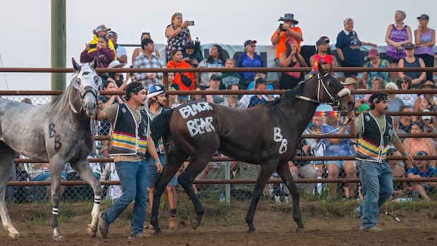 'Fire-breathing dragons': Indian relay team from Sask. starts gearing up for Calgary Stampede