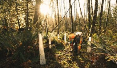 First Nations on Vancouver Island to manage 52,000 hectares of Clayoquot Sound forest