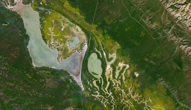 A Fault Line in Full Bloom