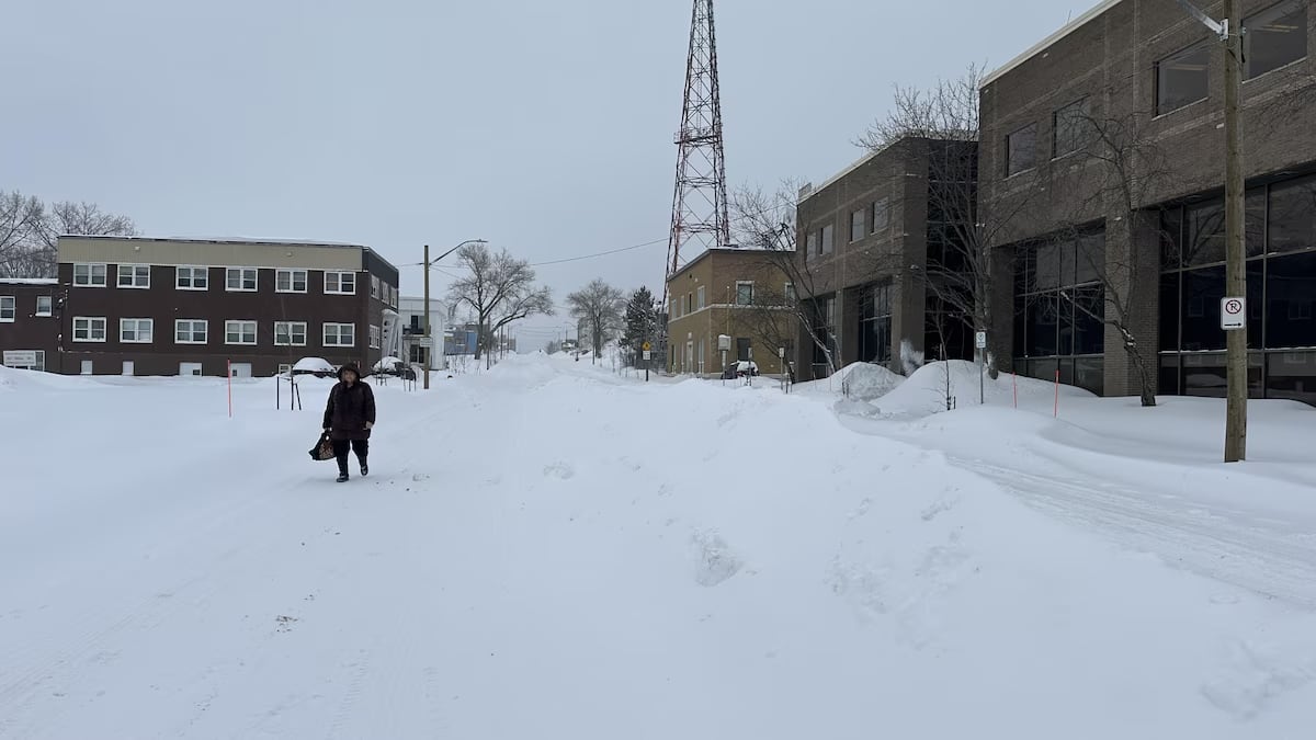 woman walks in street 