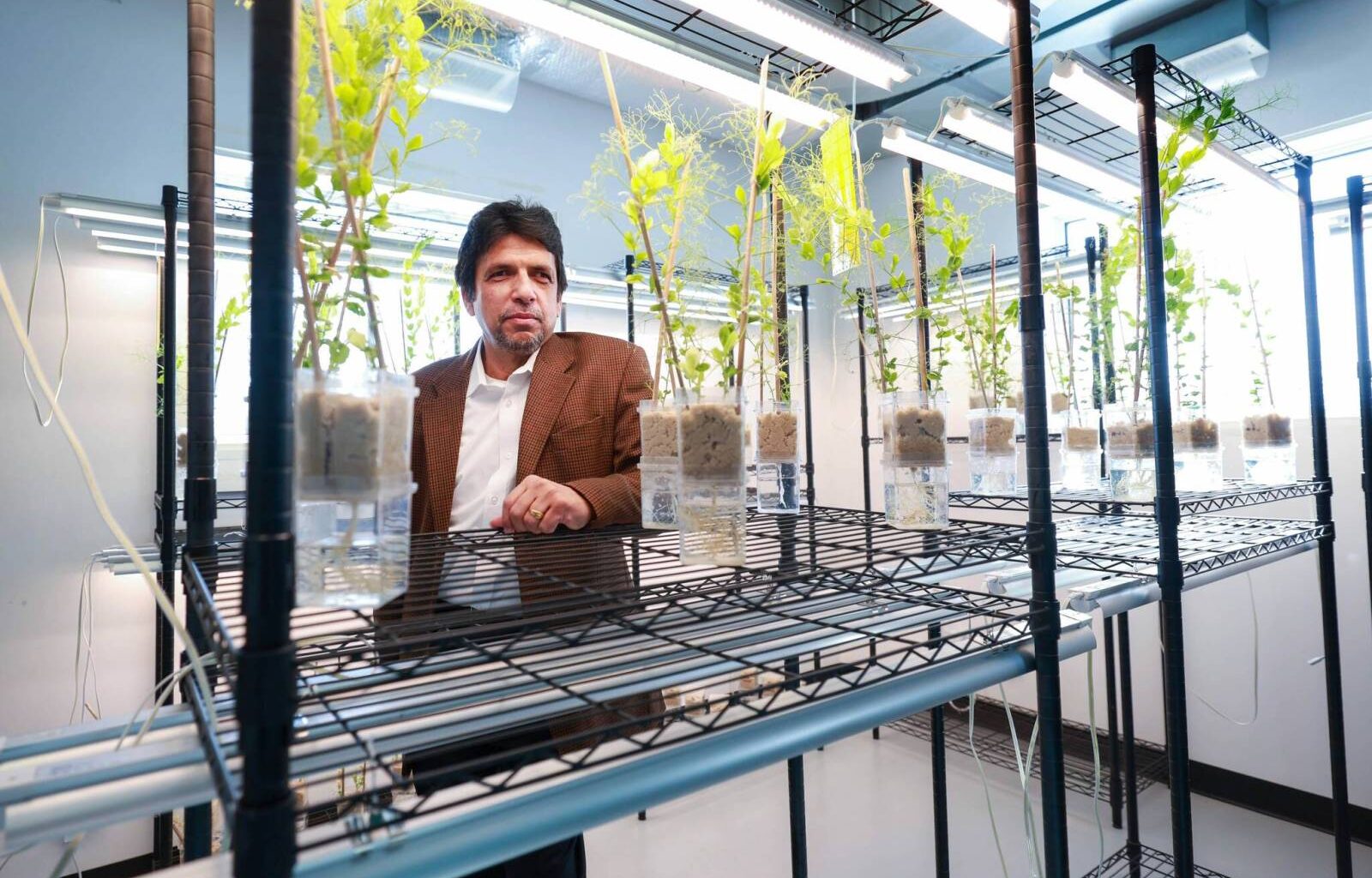 Invigorating microbial innovations – Winnipeg Free Press