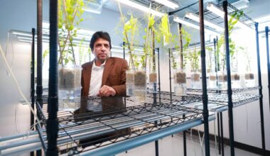 Invigorating microbial innovations – Winnipeg Free Press