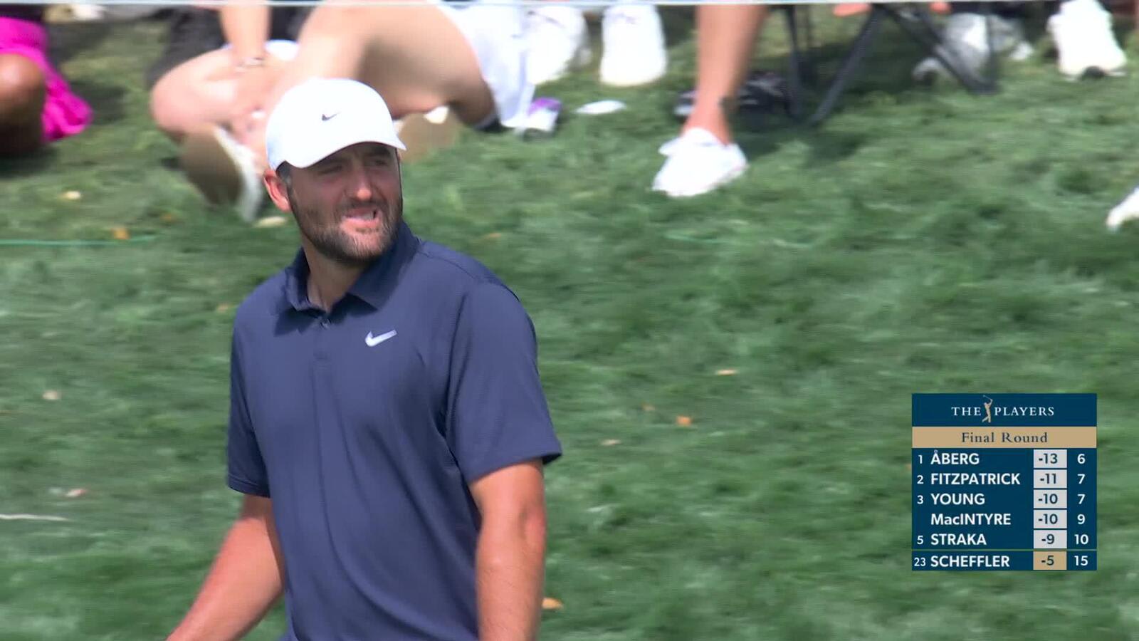 Scottie Scheffler chips in from 71 feet for birdie on No. 16 at THE PLAYERS