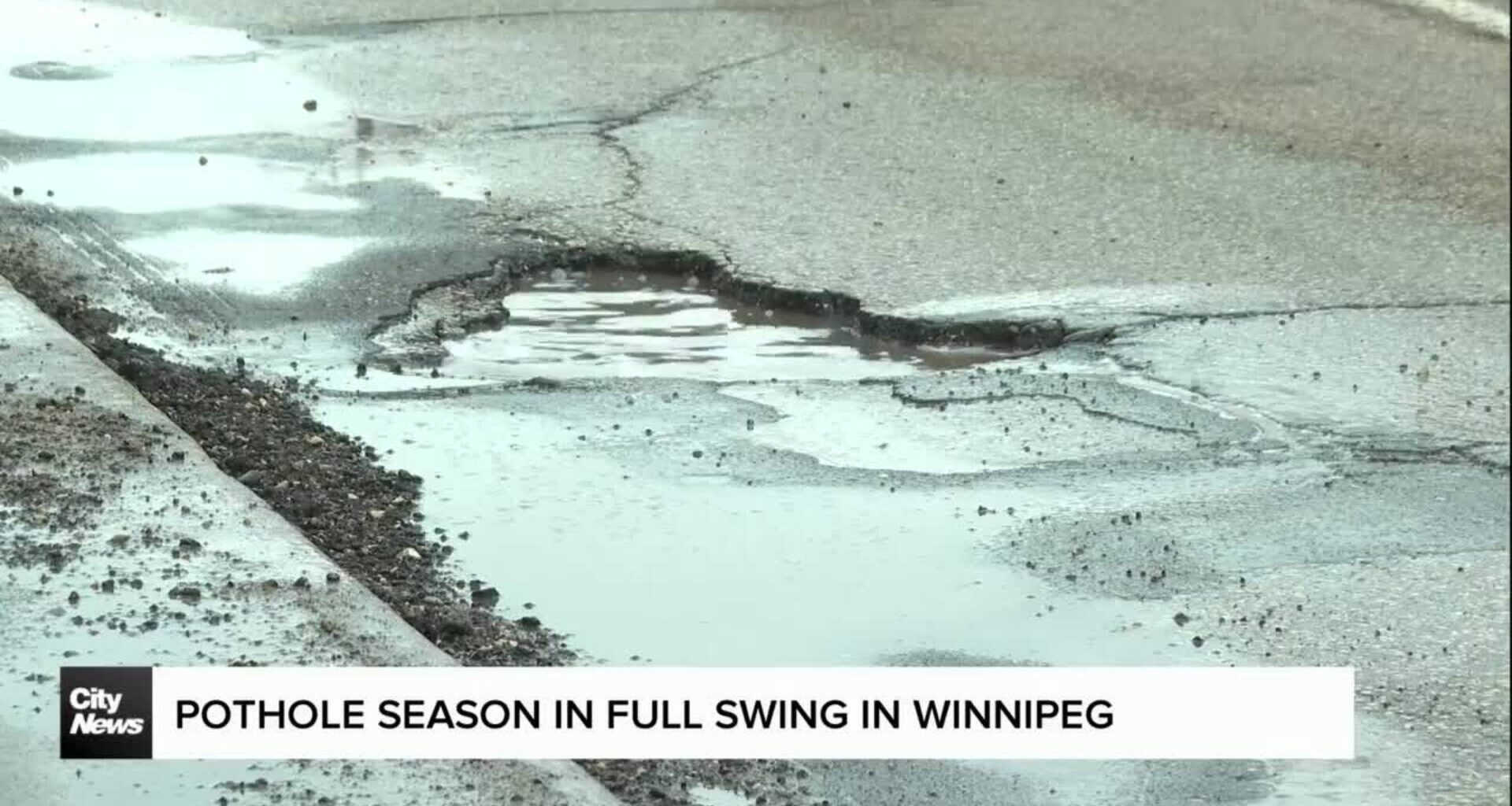 Winnipeg motorists, mechanic already seeing pothole-related problems