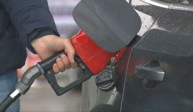 Lower gas prices on the horizon: Expert - CTV News