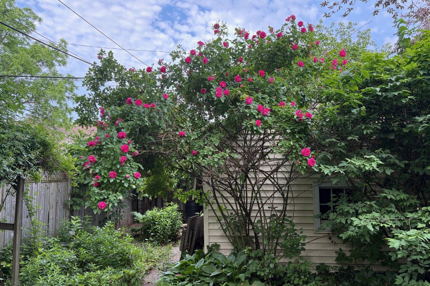 190 Brunswick Avenue Toronto