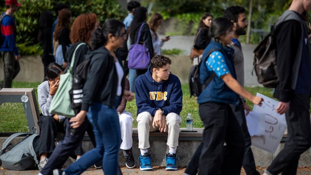 B.C. saw 66% drop in international student approvals following federal reforms: auditor general